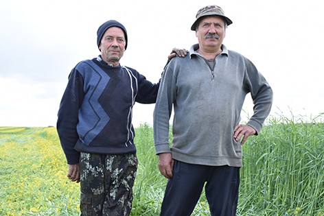 Хозяйства Быховского района приступили к заготовке кормов