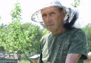У Петра Александрова из агрогородка Лудчицы большое подворье с пчелиной пасекой У Петра Александрова из агрогородка Лудчицы большое подворье с пчелиной пасекой