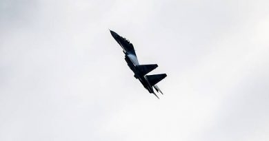 В Тверской области упал Су-30 В Тверской области упал Су-30