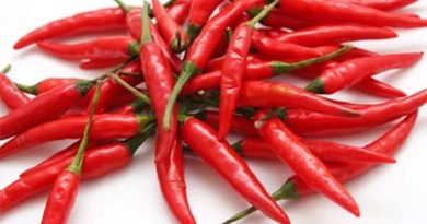Острый, но полезный. Ученые назвали продукт, способный продлевать жизнь Острый, но полезный. Ученые назвали продукт, способный продлевать жизнь