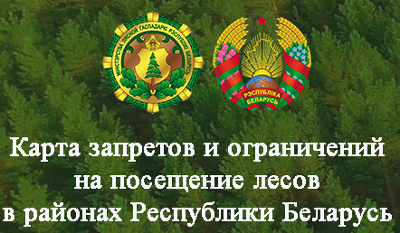 квартиры на длительный срок в быхове. Смотреть фото квартиры на длительный срок в быхове. Смотреть картинку квартиры на длительный срок в быхове. Картинка про квартиры на длительный срок в быхове. Фото квартиры на длительный срок в быхове