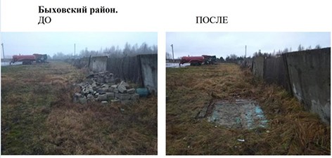 Более 570 нарушений природоохранного законодательства выявил облкомитет природных ресурсов в декабре