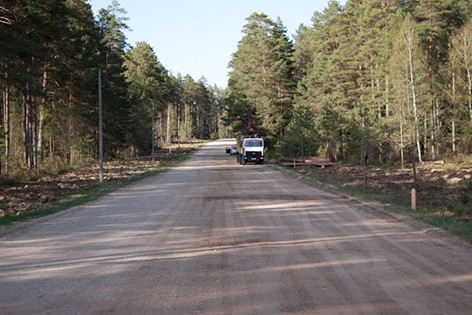 Более 14 км лесных дорог построено в Могилевской области за минувший год