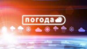 До +23°С и грозы ожидаются до конца недели в Могилевской области