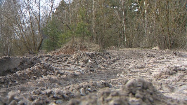 Две свалки костей животных обнаружены в Быховском районе (видео)