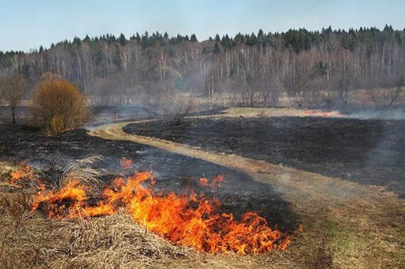 Предупредим пожары из-за выжигания сухой растительности