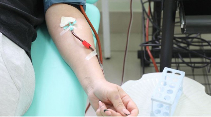 Лечение COVID-19: кому необходима плазма крови выздоровевших от коронавируса?