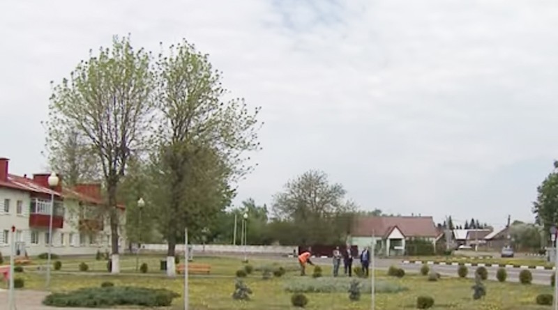 Около 3 тысяч растений высадили в Быховском районе