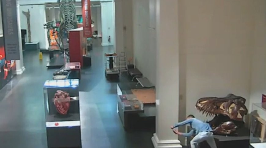 Мужчина проник в закрытый музей ради селфи с динозавром