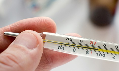 Почему мужчины тяжелее переносят повышенную температуру тела и простуду, объяснил врач