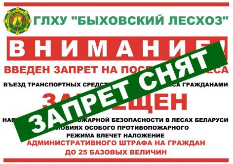 С 16 июля в Быховском районе снят запрет на посещение лесов