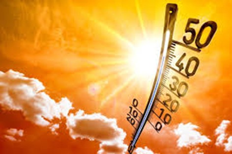 Ученые предупредили, что 2024 год может стать самым жарким в истории наблюдений