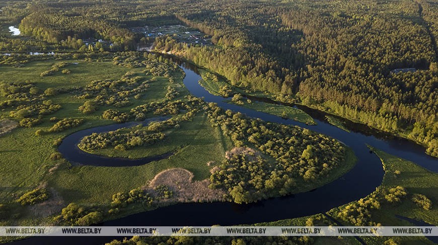 Теплая погода ожидается в Беларуси в выходные