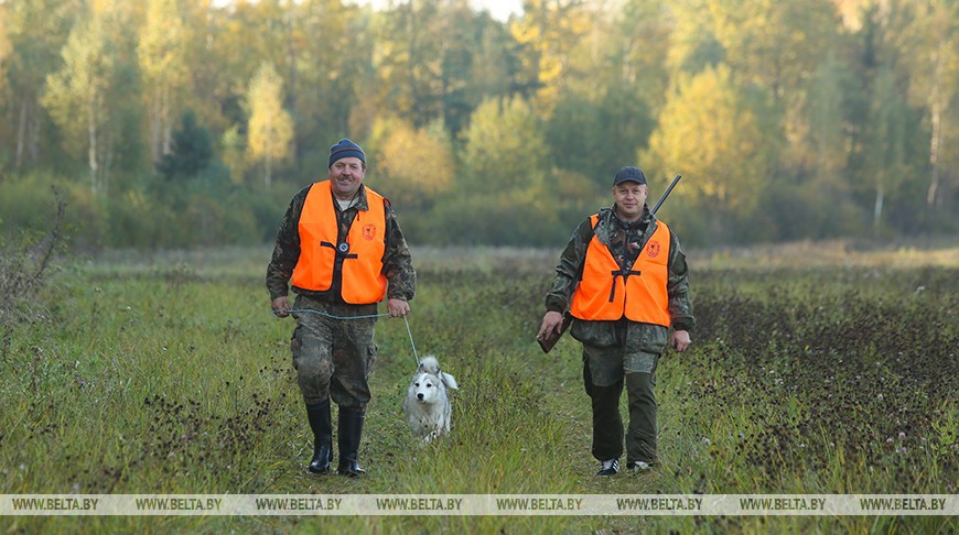 Сезон охоты на рябчика и серую куропатку в Беларуси начнется 5 сентября