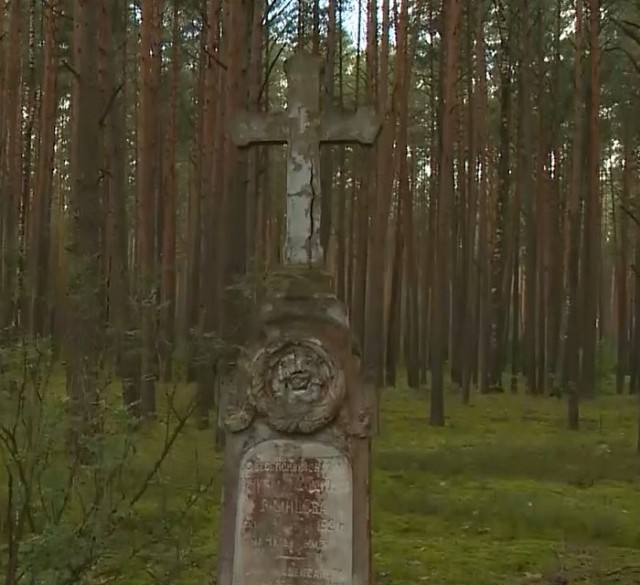 Лесное кладбище случайно обнаружили краеведы в Быховском районе (видео)