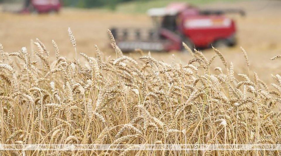 Утвержден перечень сельхозпродукции для обязательного страхования организациями АПК на 2021 год