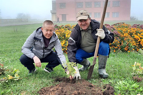 День озеленения прошел на Быховщине