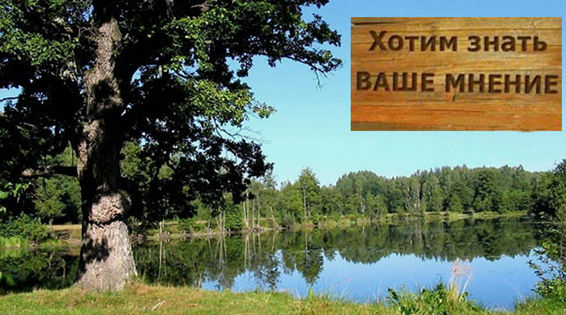 Вопросы преобразования памятника природы «Грудиновский парк» в Быховском районе вынесены на общественное обсуждение