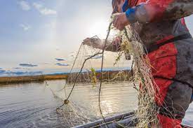Природоохранная инспекция предлагает рыбакам добровольно сдать сети