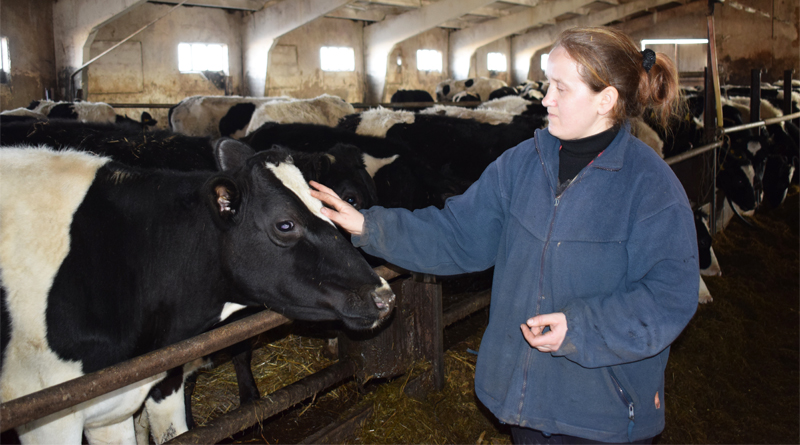 На МТК «Городец» ОАО «ПМК-85 «Водстрой» в два раза увеличили валовой надой молока