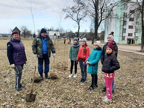 На Быховщине прошла акция по озеленению (фото)