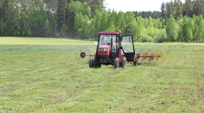 В Беларуси убрано почти 79% площадей трав