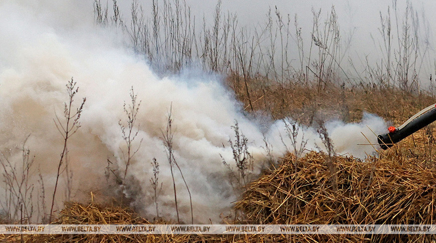 В Беларуси с начала года зарегистрировано 132 лесных пожара