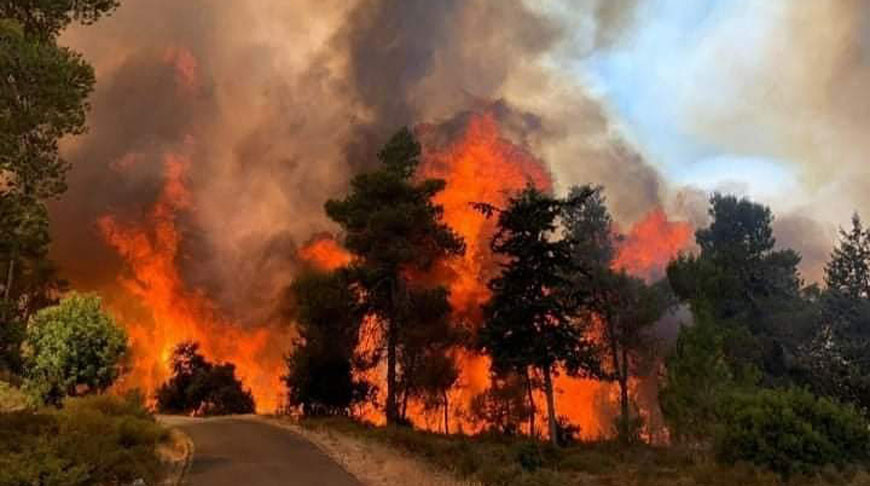 В окрестностях Иерусалима бушуют лесные пожары, идет эвакуация людей