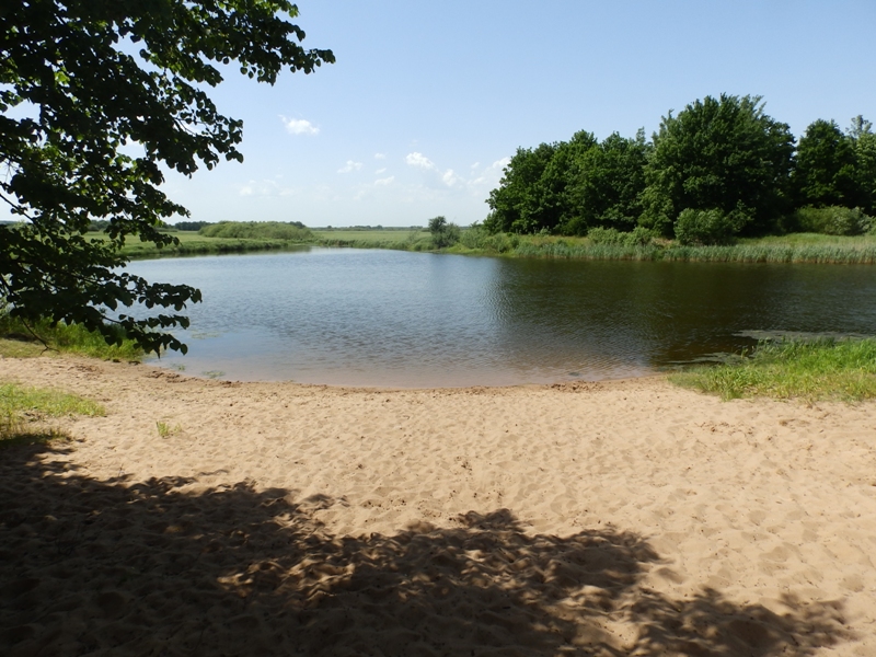 В Быховском районе определены места купания и массового отдыха у воды