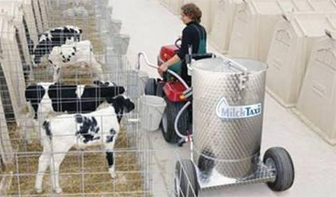 Передовую технологию «молочное такси» для кормления телят применяют в хозяйствах Могилевского и Быховского районов