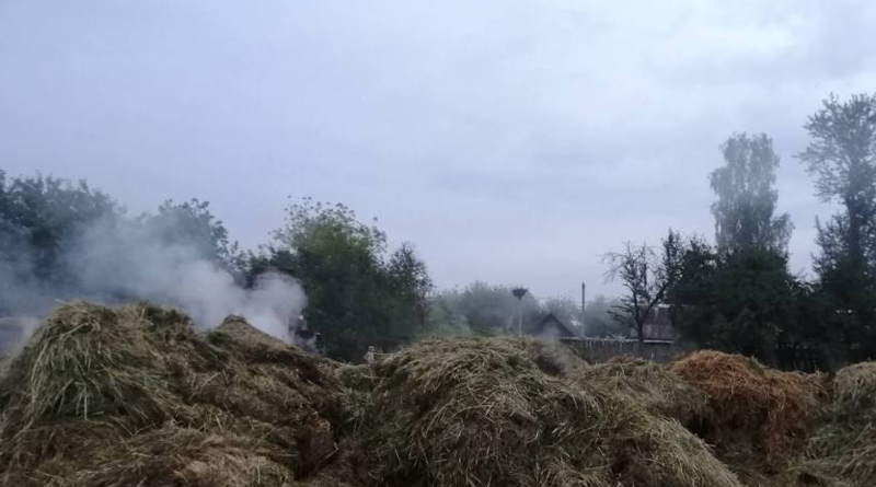 В Быховском районе горело сено