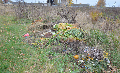 В Могилевской области с начала года устранено более полутысячи несанкционированных свалок