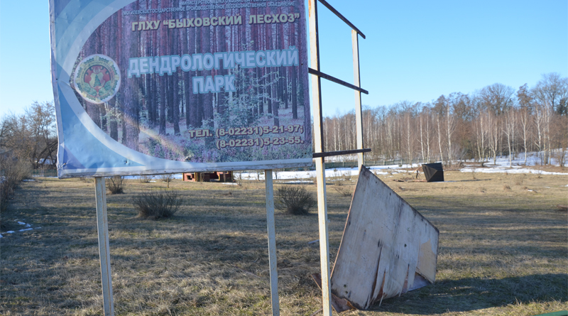 Дендропарк в Быхове в очередной раз стал жертвой вандалов