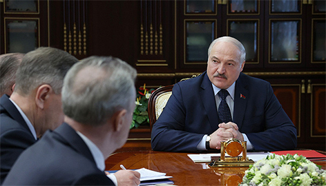 Лукашенко высказал критику по поводу медленных темпов лесовосстановления в Беларуси
