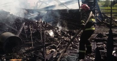 В Быховском районе ликвидирован пожар В Быховском районе ликвидирован пожар