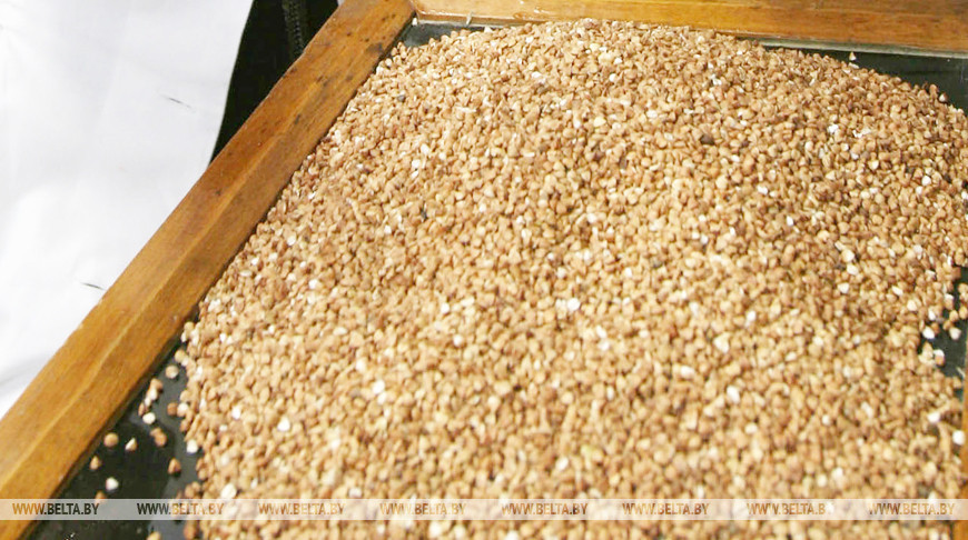 Правительство возобновило запрет на вывоз из Беларуси пшеничной муки и гречки