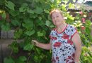Когда года — не беда: старосте деревни Липовка Зинаида Богданович недавно исполнилось 83 года Когда года — не беда: старосте деревни Липовка Зинаида Богданович недавно исполнилось 83 года