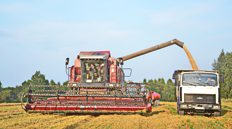 Помощь быховским аграриям в своевременной уборке зерновых оказало ОАО «Заднепровский межрайагросервис»