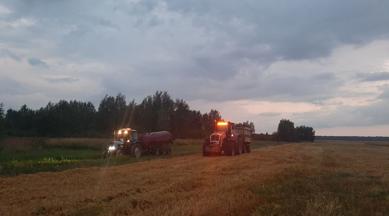 Уборка на полях ОАО “Новобыховский” идет и днем, и ночью (фото)