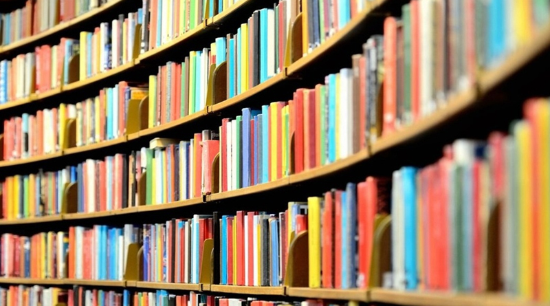 Библиотеки Централизованной  библиотечной сети Быховского района пополнились новыми книгами