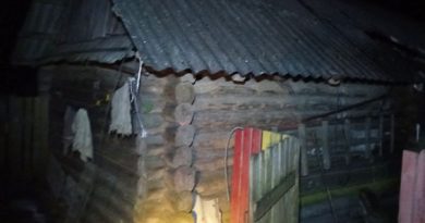 Пожар в Дунайке