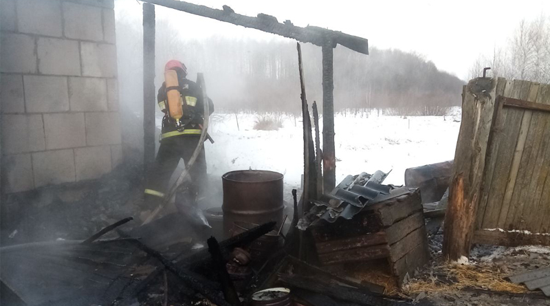 В Быховском районе ликвидирован пожар