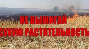 Палы травы