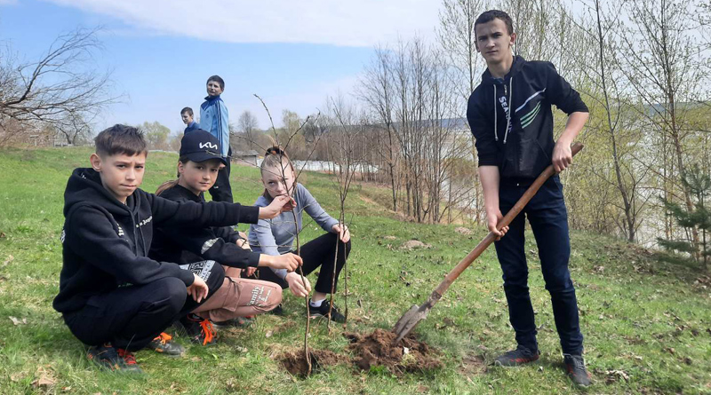 Аллеи “Мира и созидания” высадили сегодня на Быховщине (фотофакт)