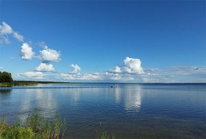 смотр-конкурс на лучшее благоустройство