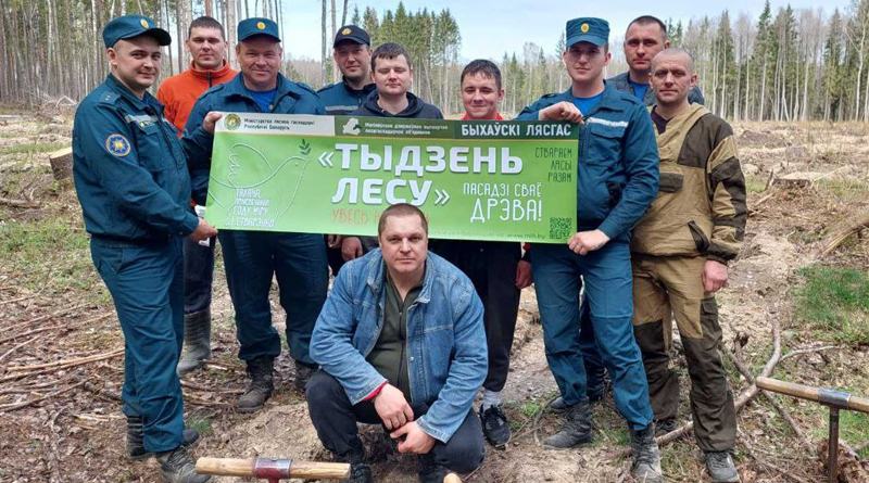 Быховщина активно включилась в республиканскую добровольную акцию «Неделя леса»