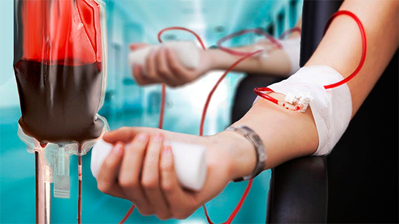 Минздрав установил рацион бесплатного питания донора крови и ее компонентов в день донации