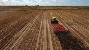 Ранние яровые зерновые в Беларуси посеяли почти на 94% площадей