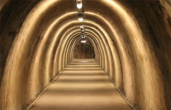 В Турции мужчина нашел у себя в подвале древний подземный город