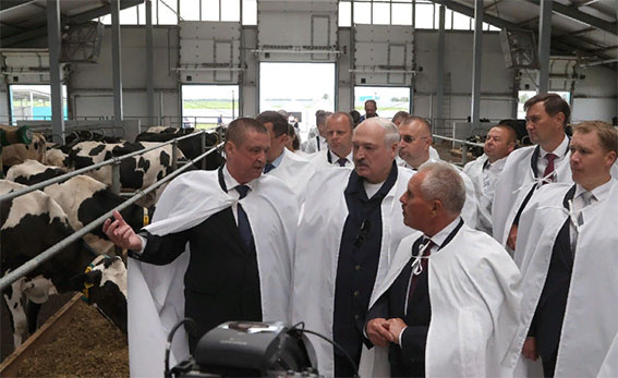 Лукашенко: за 5 лет – от устаревших ферм к технологичным комплексам